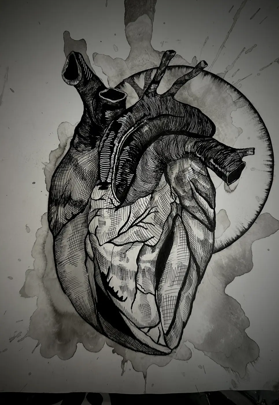 Ink drawing of an anatomical human heart, arteries splayed open, set against a ringed circle.